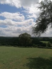 Point d'intérêt Jalhay - vue sur la forêt  - Photo 1