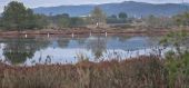 Punto de interés Hyères - Les vieux salins de Hyères - Photo 3