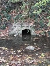 Point d'intérêt Fontaine-le-Port - Source - Photo 1