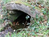 POI Fleurines - Fontaine des Lys - Photo 1