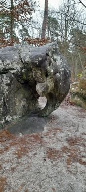 Punto de interés Fontainebleau - Unnamed POI - Photo 1