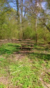 Point d'intérêt Porte-du-Ried - Banc  - Photo 1