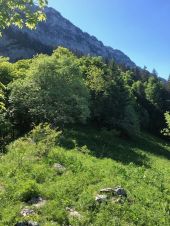 Punto de interés Saint-Pierre-d'Entremont - Bivouac  - Photo 2