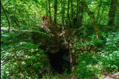 Punto di interesse Marche-en-Famenne - Site naturel du Fond des Vaulx - Photo 3