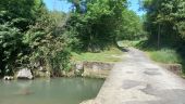 POI Saint-Georges-de-Luzençon - traversée du Cernon sur pont bas puis du chemin de - Photo 1