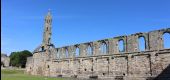 Punto di interesse Unknown - St Andrews Cathedral - Photo 1