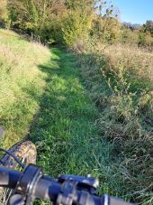 Point d'intérêt Binche - !  chemin VTT - Photo 1