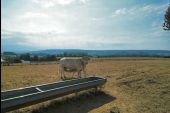 Punto de interés Meix-devant-Virton - La Ferme de Rosière à Houdrigny - Photo 17