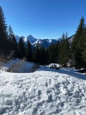 POI Abondance - Fin de piste carrossable - Photo 2