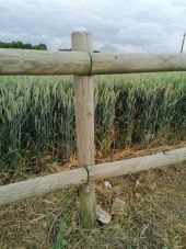 Point of interest Moult-Chicheboville - 🐸 1#17 - Entre Plaine et Marais à Chicheboville🌿 - Photo 1