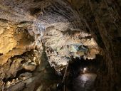 Point d'intérêt Hotton - Les Grottes de Hotton - Photo 2
