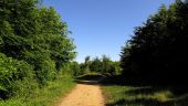 Point d'intérêt Vieux-Moulin - Point 12 - Photo 2