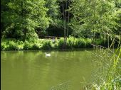 POI Ottignies-Louvain-la-Neuve - Vues du plan d'eau du Bois des Rêves - Photo 3