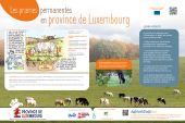 Point d'intérêt Bertogne - Les prairies permanentes en province de Luxembourg - Photo 1
