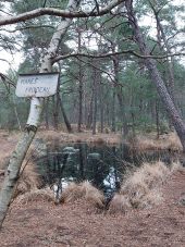 Punto di interesse Fontainebleau - Unnamed POI - Photo 1