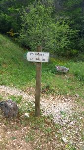 Point d'intérêt La Malène - jonction piste-sentier GR  - Photo 1