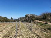 Punto de interés Trets - Vue sur le mont Olympe - Photo 1