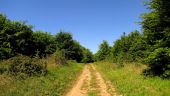 Point d'intérêt Trosly-Breuil - Point 24 - Photo 1