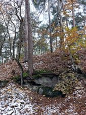 Punto de interés Fontainebleau - Unnamed POI - Photo 1