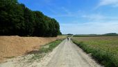 Point d'intérêt Beauvechain - Vue nord-est vers le Cayberg en bordure de la Forêt de Meerdael - Photo 1