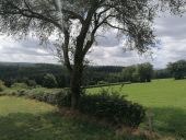 Point d'intérêt Jalhay - vue sur la forêt  - Photo 2