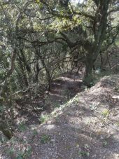 Point d'intérêt Cabrières -  variante descente  - Photo 1