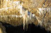 Point d'intérêt Hotton - Grottes de Hotton - Photo 1