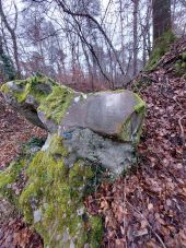 POI Fontainebleau - Unnamed POI - Photo 1