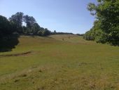 POI Itter - Sentier Piotte (S78 - Ittre/GR12) - Vue sur les prés traversés - Photo 1