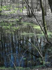 Point d'intérêt Braine-le-Comte - 