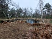 Point of interest Fontainebleau - Unnamed POI - Photo 1