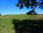 Point of interest Chaumont-Gistoux - Vue nord prairie avec vaches - Photo 1