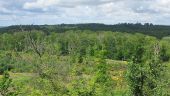 Point d'intérêt Saint-Crépin-aux-Bois - Point 23 - Photo 12