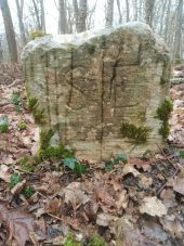 Punto di interesse Vergigny - Unnamed POI - Photo 1