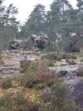 Point d'intérêt Fontainebleau - Sphinx des Druides  - Photo 1