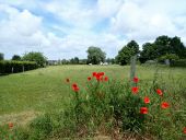 POI Genepiën - Vue nord-ouest Rue des Saules - Photo 1