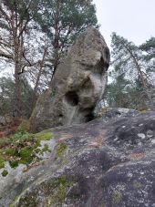 Point d'intérêt Fontainebleau - 34F - Photo 1