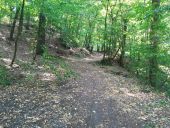 POI Thuin - Entrée de la descente vers l'abbaye d'Aulne - Photo 1