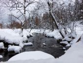 POI Waimes - Le pont Anna Marie Libert - Photo 2