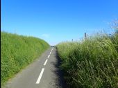 Punto de interés Chaumont-Gistoux - Vue piste cyclable avec ligne de séparation centrale - Photo 1