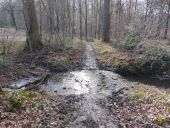 Point d'intérêt Ham-sur-Heure-Nalinnes - Petit passage à gué - Photo 1