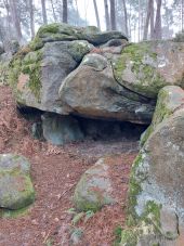 Point of interest Fontainebleau - Unnamed POI - Photo 1