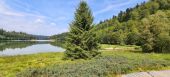 Point d'intérêt La Bresse - lac de la lande - Photo 1
