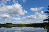 Point d'intérêt Virton - Les étangs de Latour - Photo 2