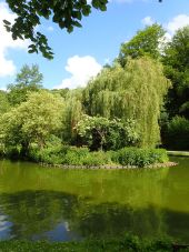 Point d'intérêt Ottignies-Louvain-la-Neuve - Vues du plan d'eau du Bois des Rêves - Photo 1