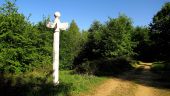 Point d'intérêt Vieux-Moulin - Point 11 - Photo 3