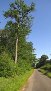 Point d'intérêt Saint-Crépin-aux-Bois - Point 9 - Photo 3