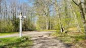 Point of interest Pierrefonds - Unnamed POI - Photo 3