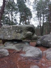 POI Fontainebleau - Unnamed POI - Photo 1