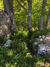 Point d'intérêt Saint-Pierre-d'Entremont - Bivouac  - Photo 1